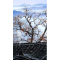 高清风景1030