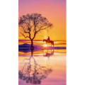 高清风景1031