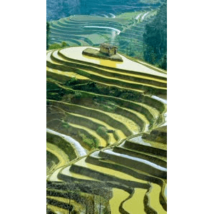 高清风景1039