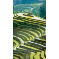 高清风景1039