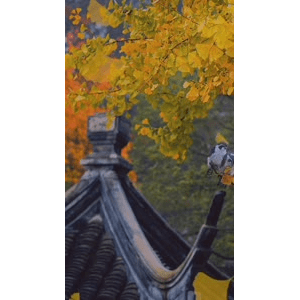 高清风景1040