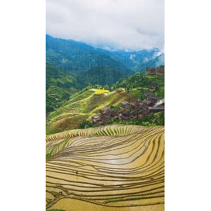 高清风景1042