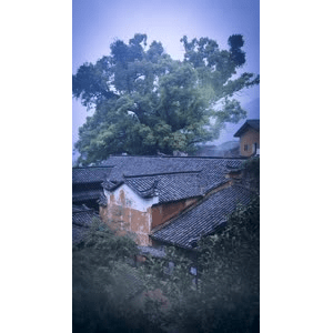 高清风景1043