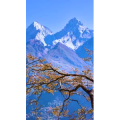 高清风景1044