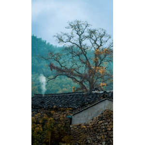 高清风景1049