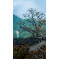 高清风景1049