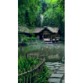 高清风景1051