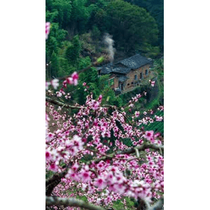 高清风景1056