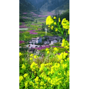 高清风景1058