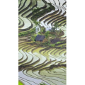 高清风景1064