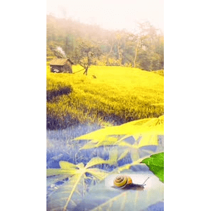 高清风景1068