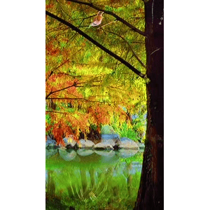 高清风景1070