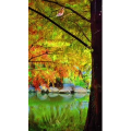高清风景1070