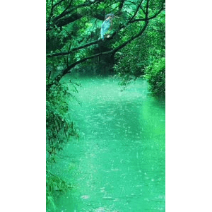 高清风景1074