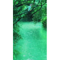 高清风景1074