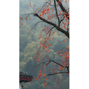 高清风景1075