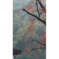 高清风景1075