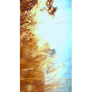 高清风景1077