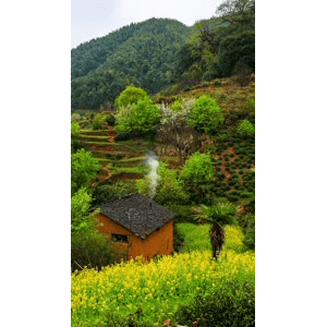 高清风景1084
