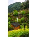 高清风景1084