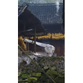 高清风景1089