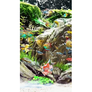 高清风景1093