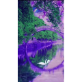 高清风景1101