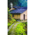 高清风景1102