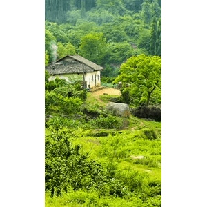高清风景1103