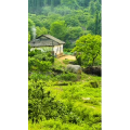 高清风景1103