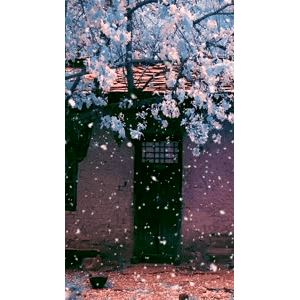 高清风景1107