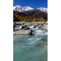 高清风景1111