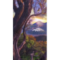 高清风景1112