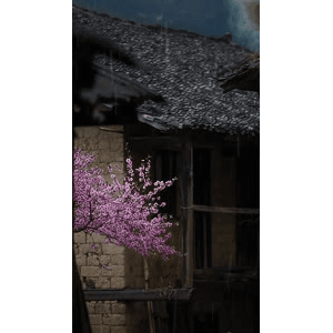 高清风景1113