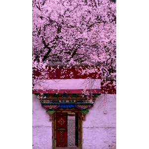 高清风景1115