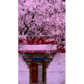 高清风景1115