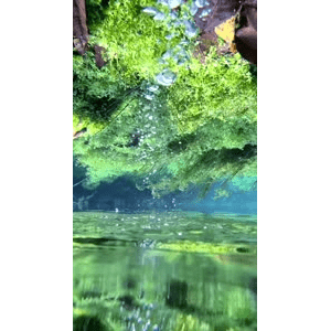 高清风景1116