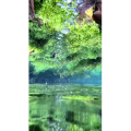 高清风景1116