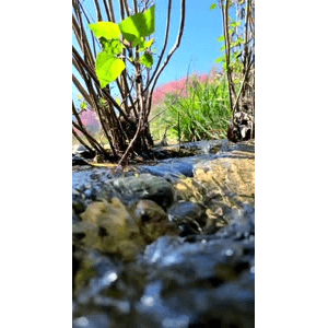 高清风景1118