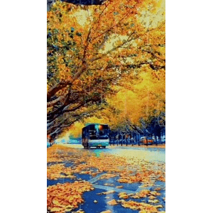 高清风景1121