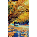 高清风景1121