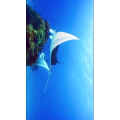 高清风景1122