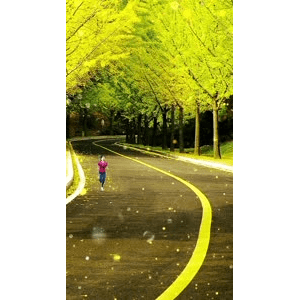 高清风景1123