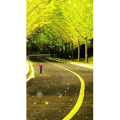 高清风景1123
