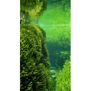 高清风景1124