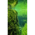 高清风景1124