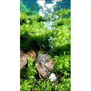 高清风景1127