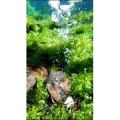 高清风景1127