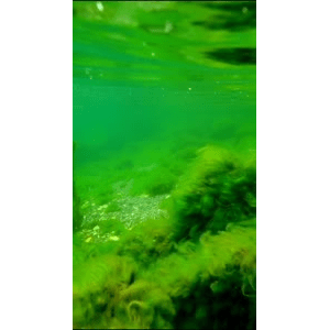 高清风景1130