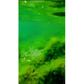 高清风景1130